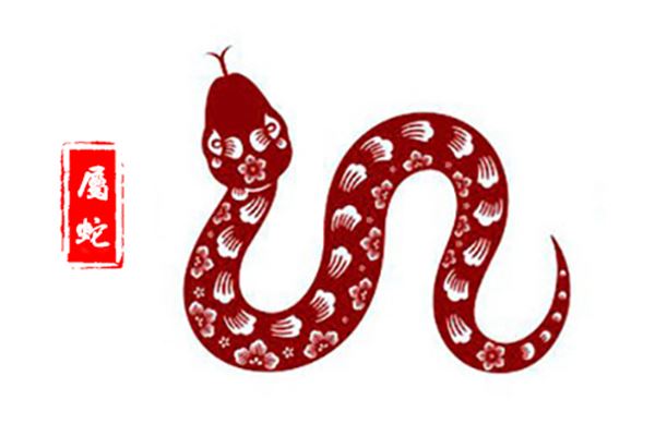 属蛇的今年多大