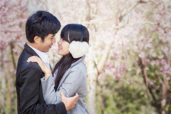 属鸡人和属羊人婚姻问题_93_1993女鸡1991男羊五行合不合
