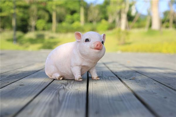 属猪的是哪年出生的_农历出生月份猪运势_生肖猪出生月份命运