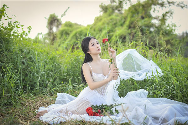 属鸡2026年的运势及运程_2024年属猴贵人运_2024年属鸡运势提升
