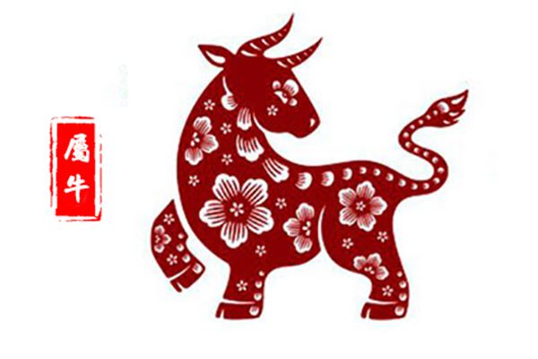 属牛的今年多大